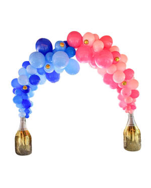 Organisk klase / Bue: Boy or girl - Champagne