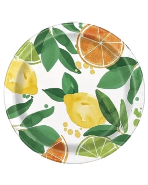 Tallerkener (8stk): Frukt motiv - Fargerike - 23cm