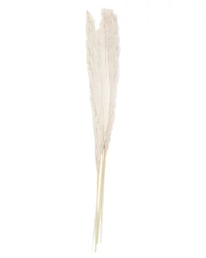 Blomster / Dekorasjoner: Bleket palmegress - Hvit - 90cm